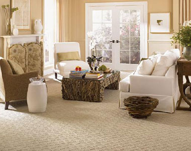 carpet cleaning
